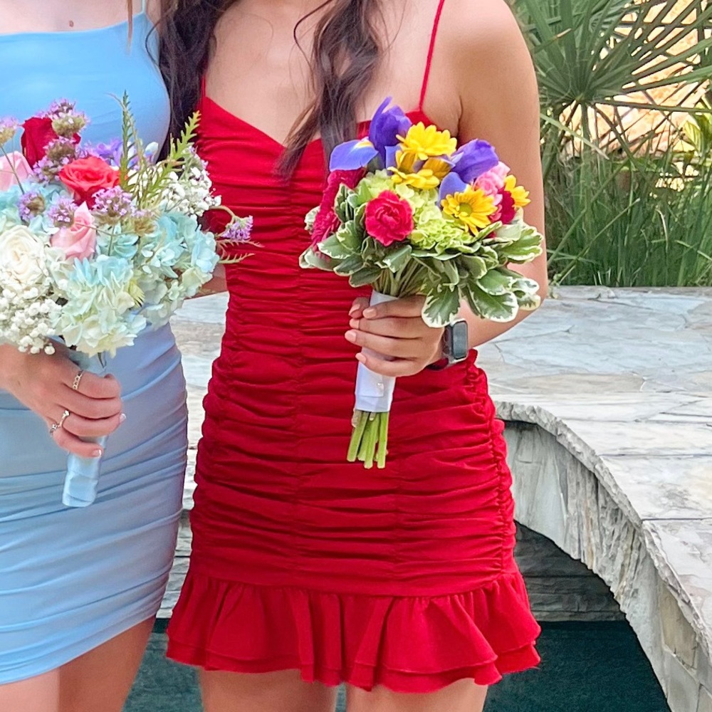 Lucy in the sky Remi ruched mini dress red size XS